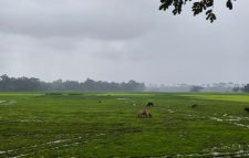 গোয়াইনঘাটে জমি দখল, হামলা ও প্রাণনাশের হুমকির অভিযোগে ৭ জনের বিরুদ্ধে আদালতে মামলা
