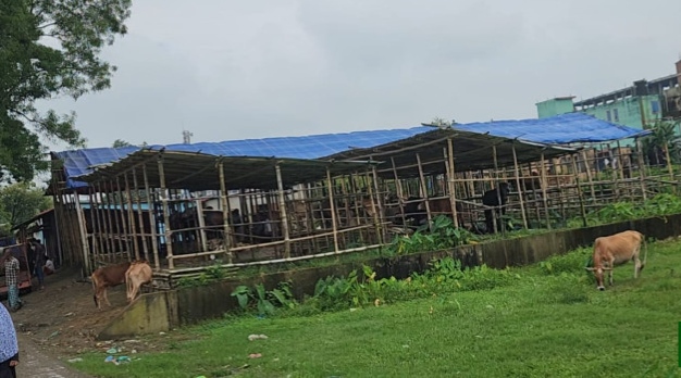ছাতকে গোবিন্দগঞ্জ পশুর হাটে রেলওয়ের জমি ব্যবহারের অভিযোগ